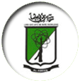 Al-Ameen Institute